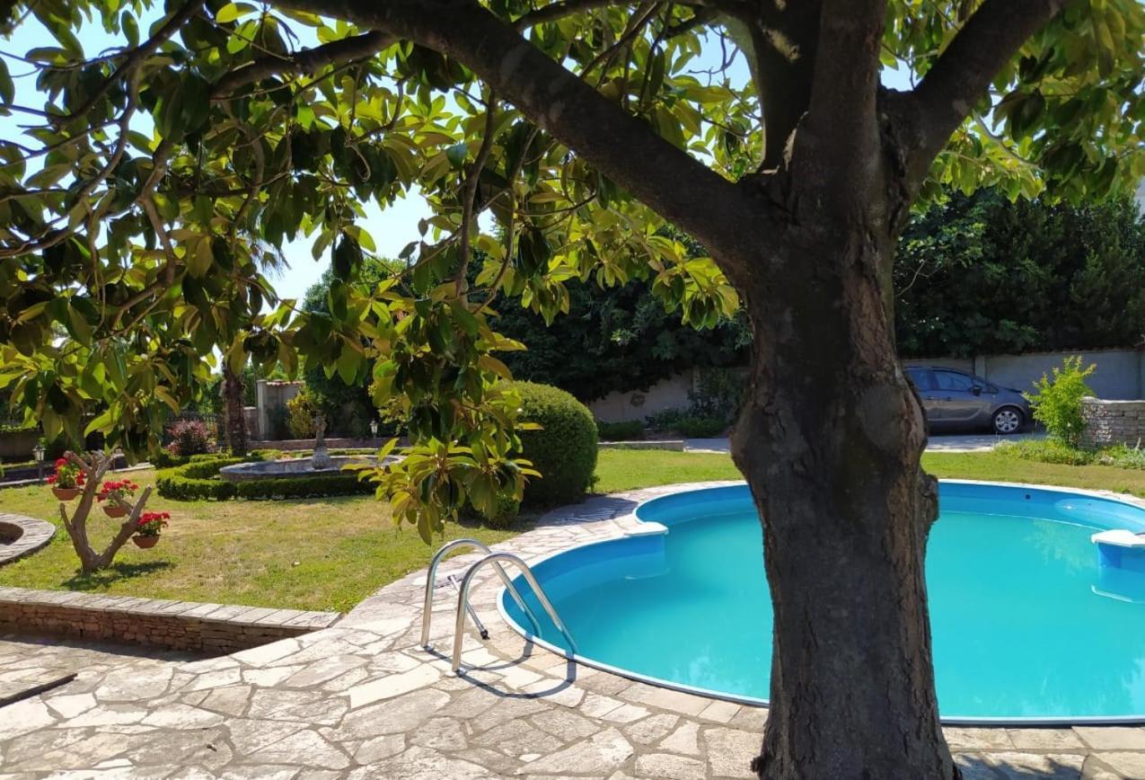 Leisure House Jovovic Villa Bar Exterior photo
